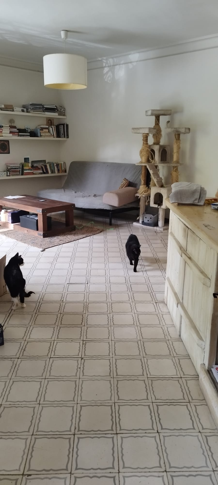 Homestay Barcelona 661773