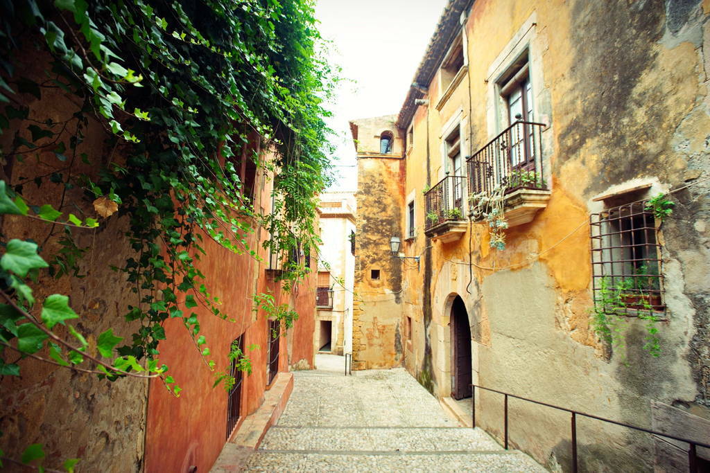 Bed And Breakfast Altafulla 127344