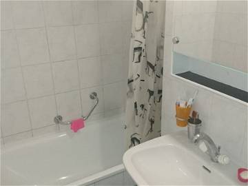 Room For Rent Genève 327501