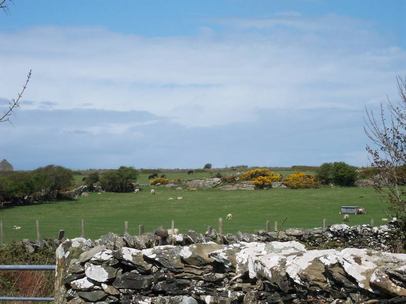 Gastfamilie Llanfechell 170129-2