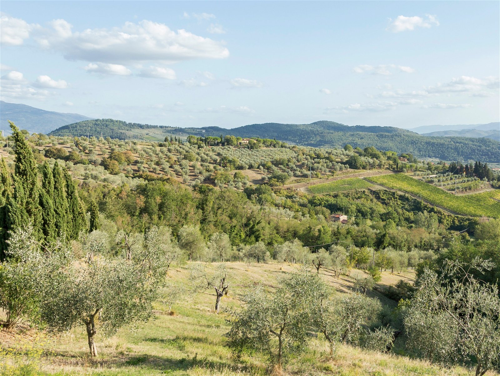 Gastgezin Toscana 183200