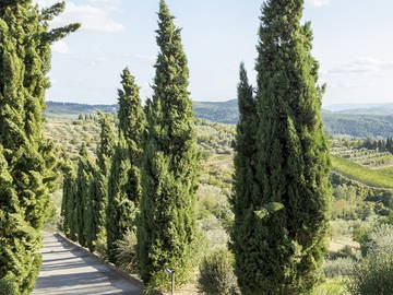 Chambre Chez L'habitant Toscana 183200-9
