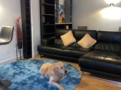 Toda La Casa Port d'Andratx 374286-5