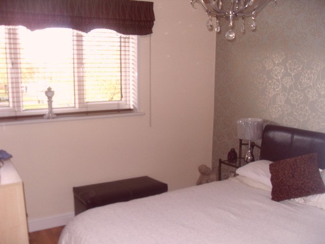 Homestay Coventry 37192