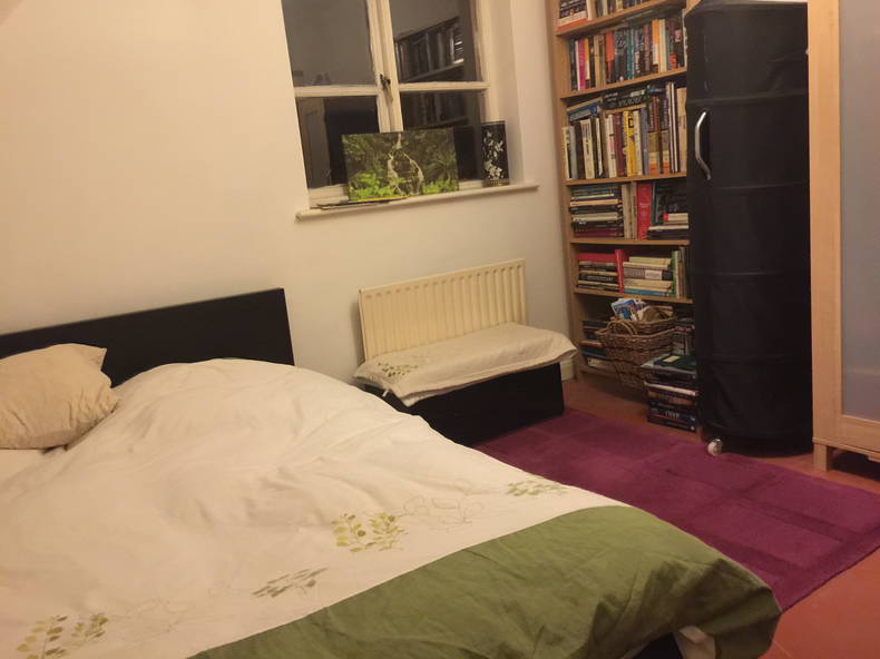 Gastfamilie Hampton 88322-1