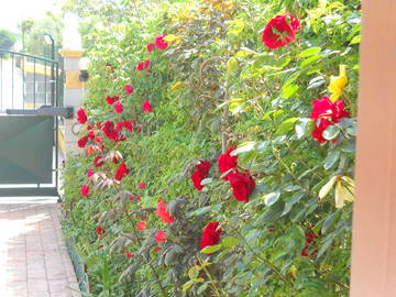 Chambre Chez L'habitant 00042 199127-4