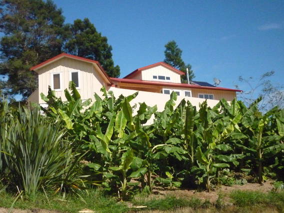 Chambres D'hôtes Puhoi 14450-1