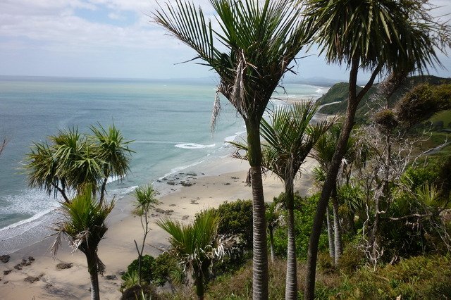 Bed And Breakfast Puhoi 14450