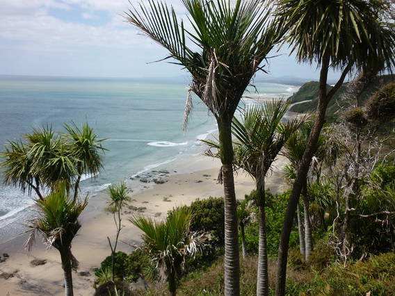 Chambres D'hôtes Puhoi 14450-3