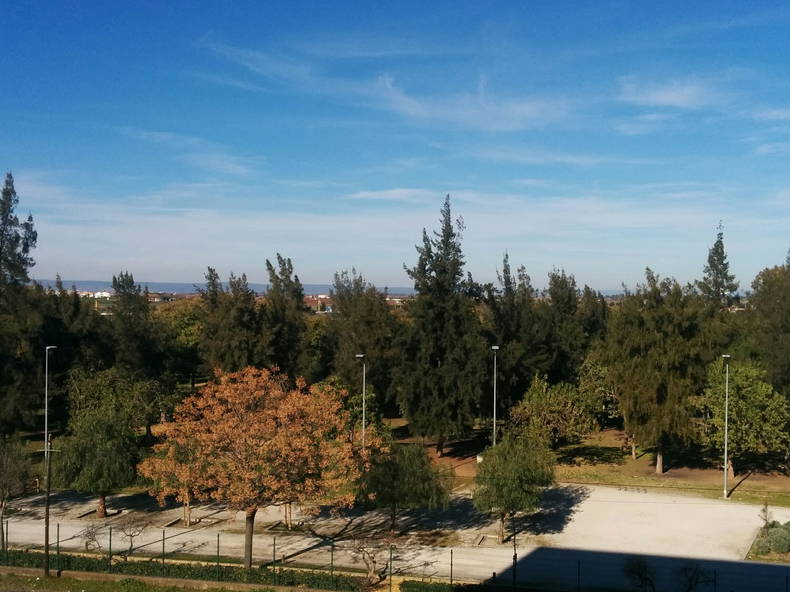 Homestay Sevilla 200116-2