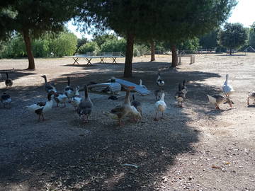 Chambre Chez L'habitant Sevilla 200116-6