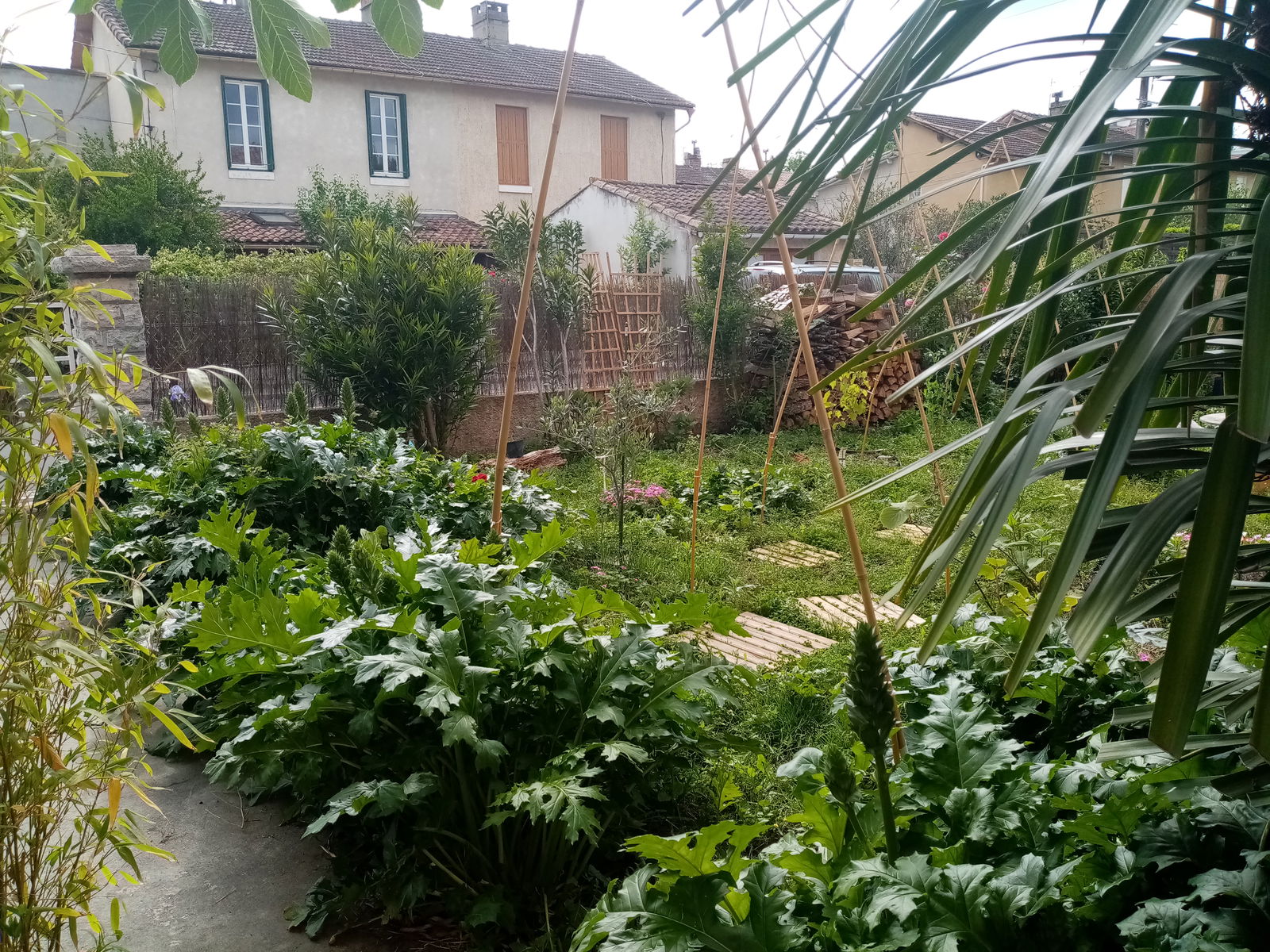 Homestay Espéraza 266810