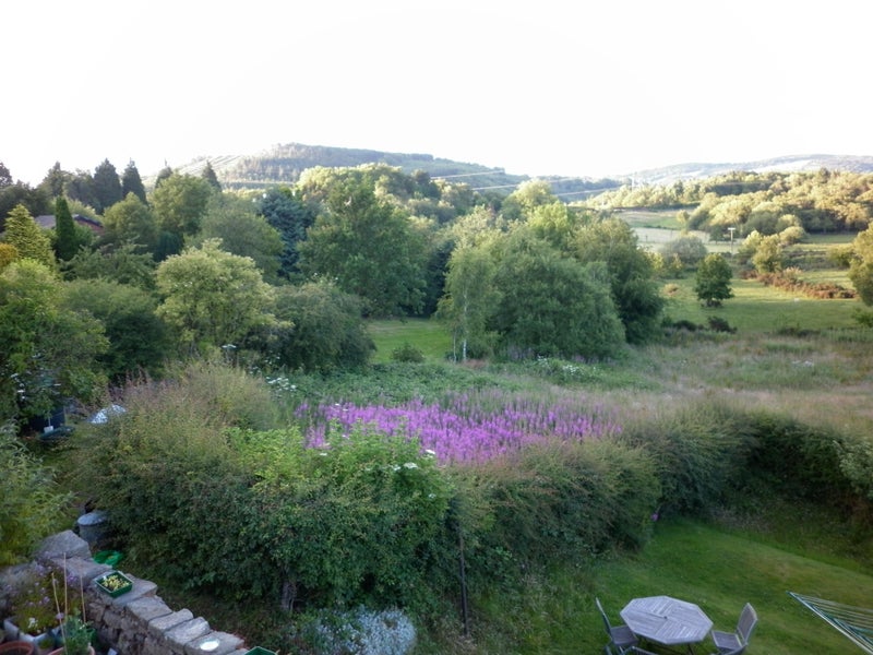 Homestay Brymbo 534774