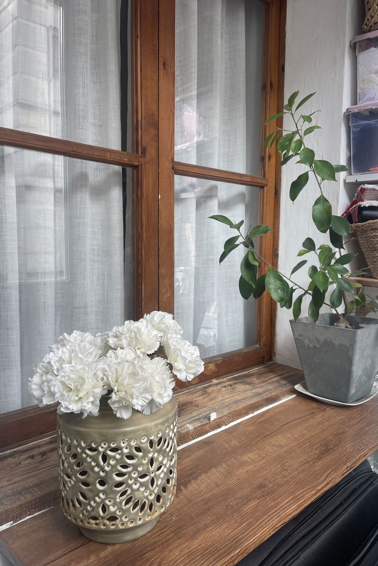 Chambres D'hôtes Palma 630568