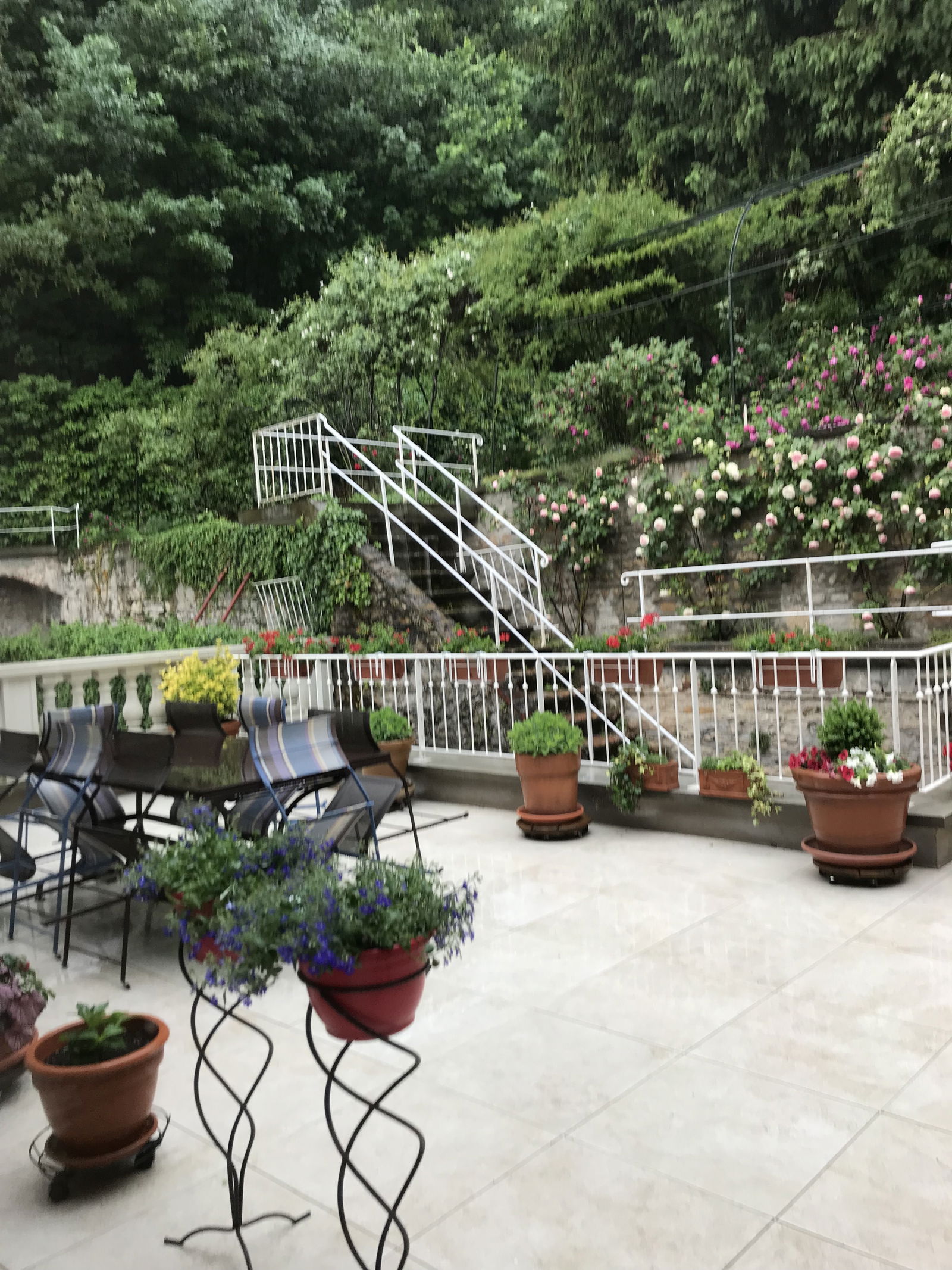 Homestay Caluire-et-Cuire 146743