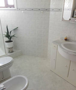 Toda La Casa Bragança 227396