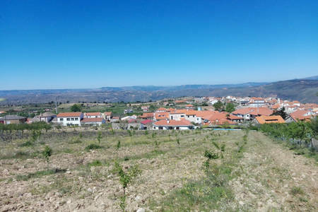 Toda La Casa Bragança 227396