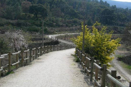 Toda La Casa Bragança 227396