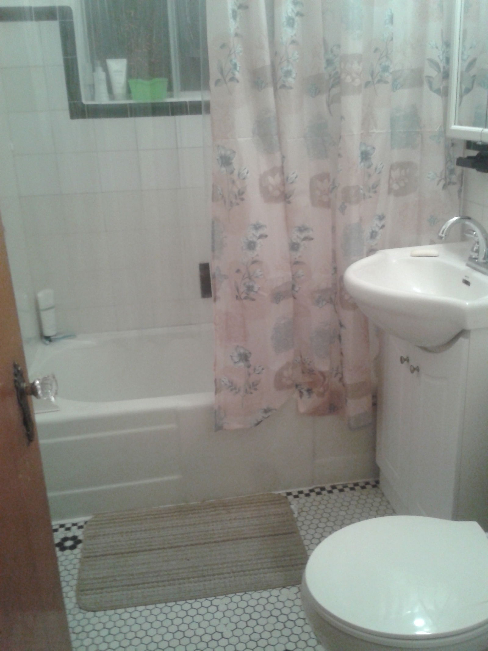 Kolokasie Montréal 63230