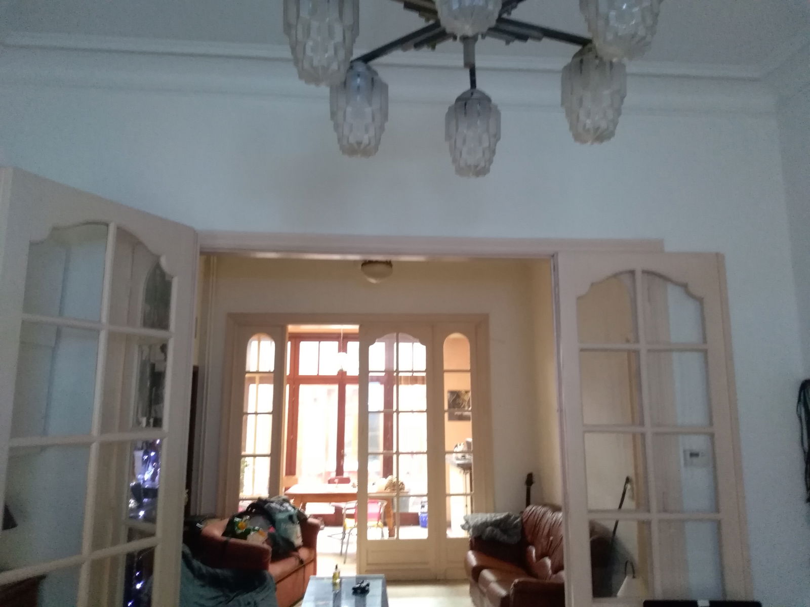 Kolokasie Tournai 79483