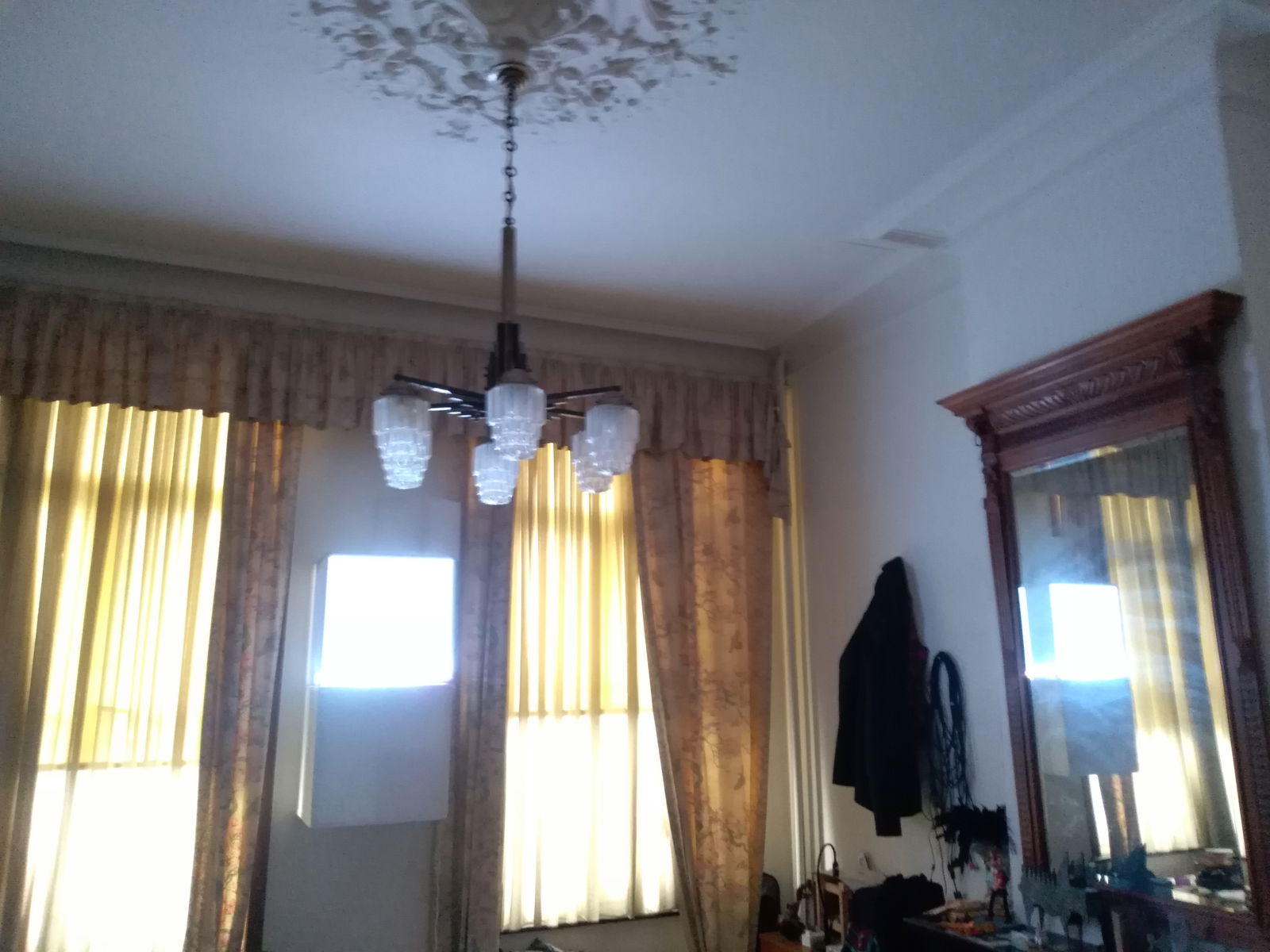 Kolokasie Tournai 79483