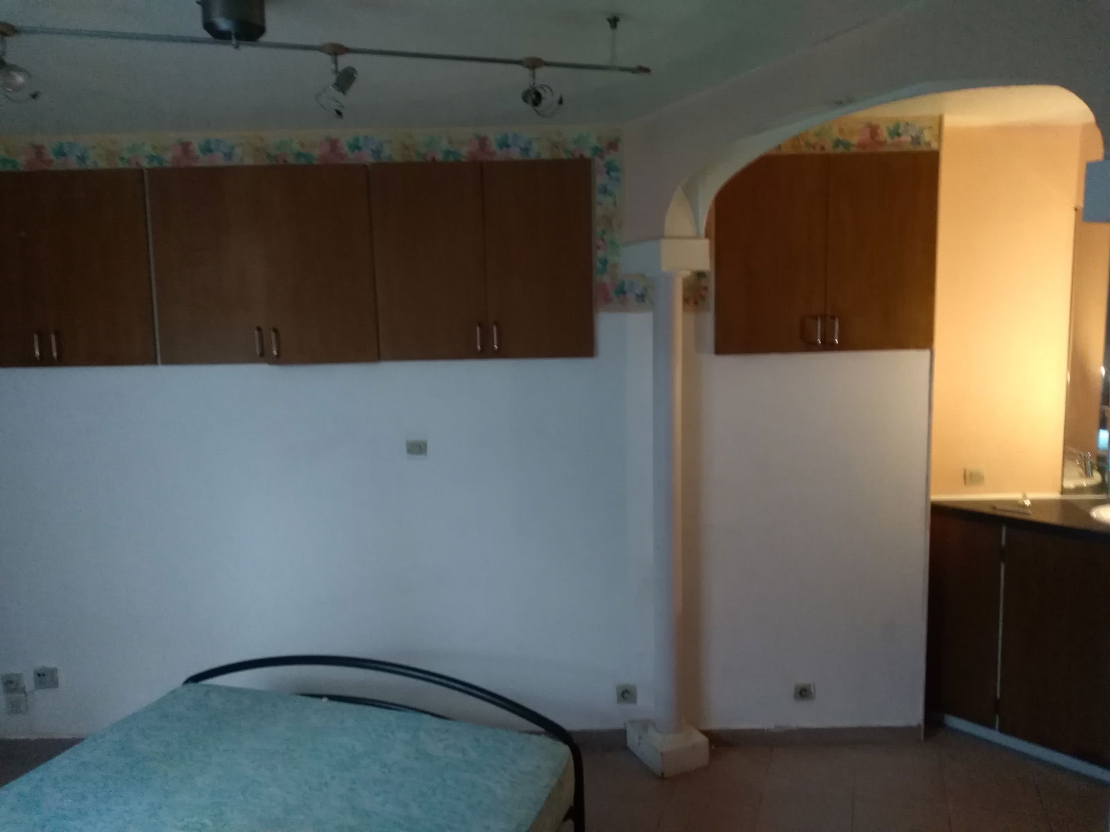 Kolokasie Tournai 79483