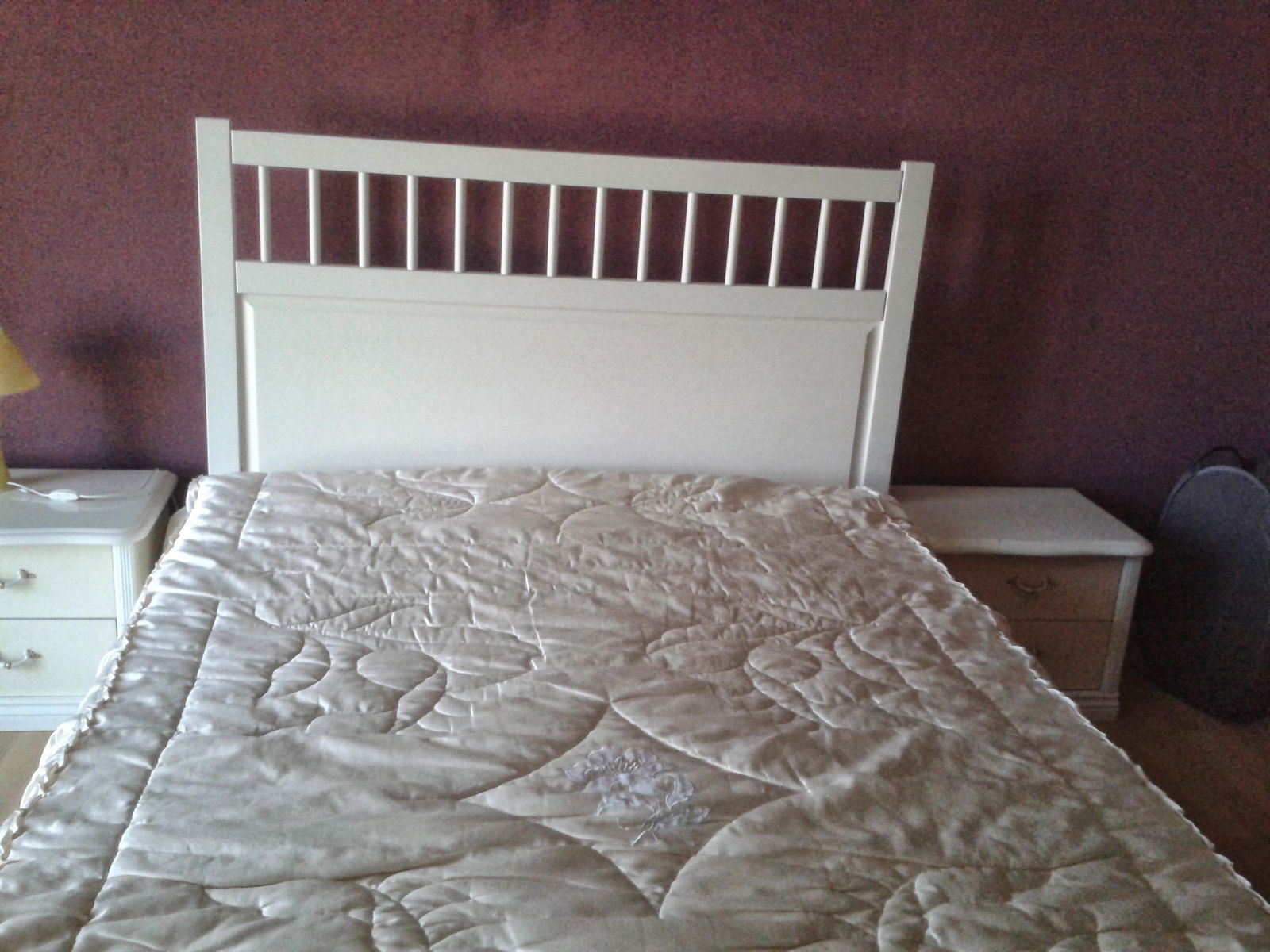 Kolokasie Pia 121141