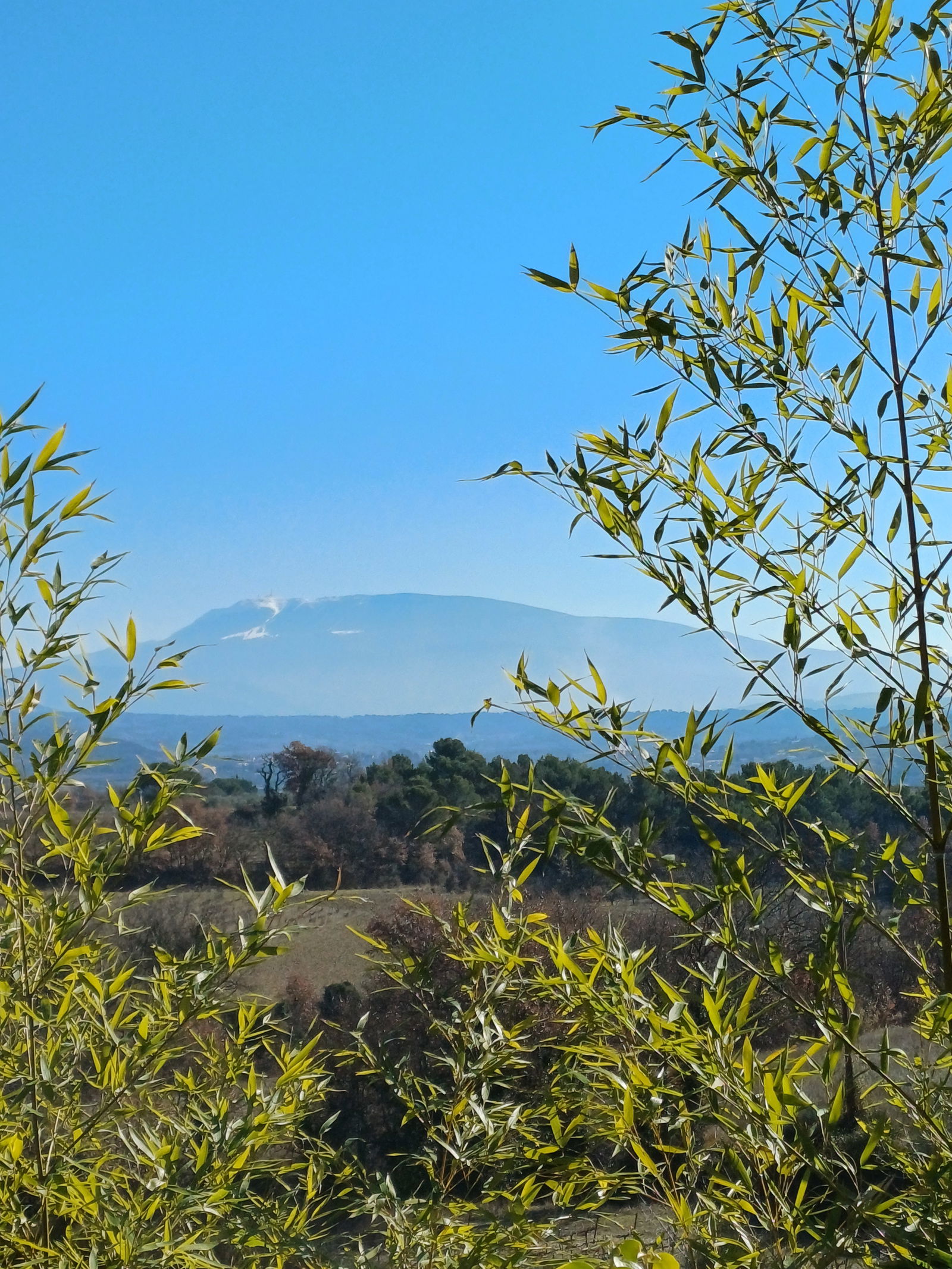 Homestay Vinsobres 486064