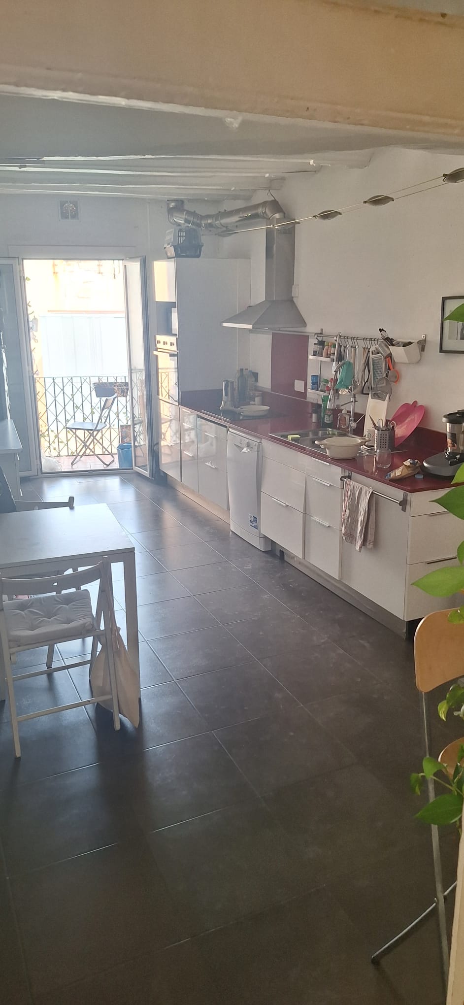 Kolokasie Barcelona 265006