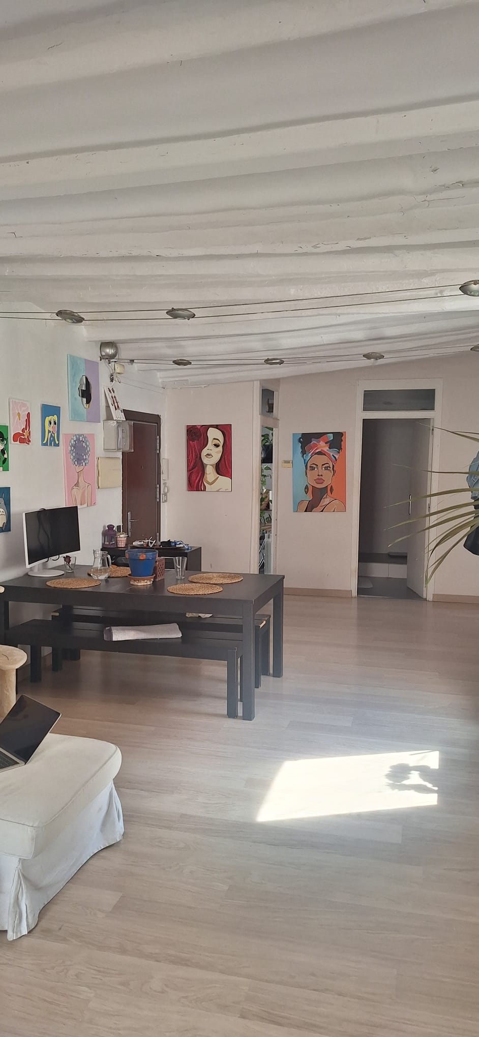 Kolokasie Barcelona 265006