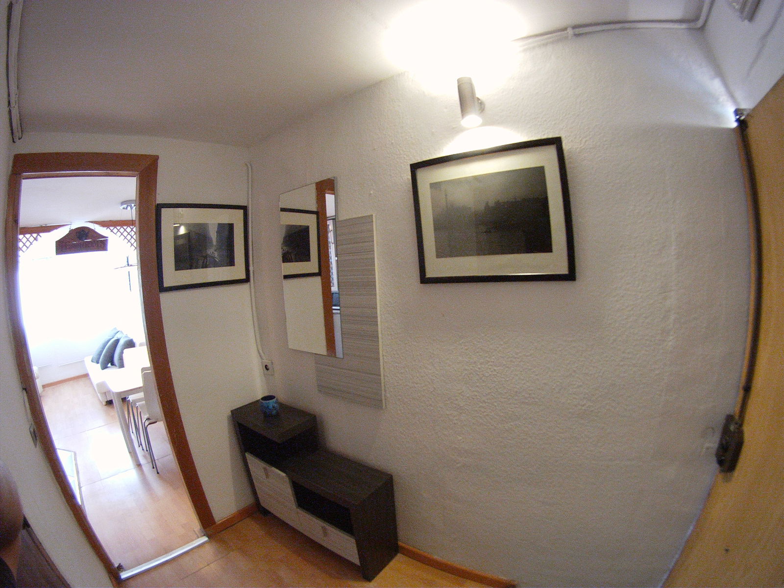 Kolokasie Barcelona 90252