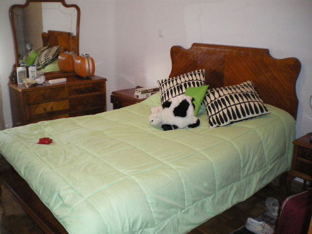 Kolokasie Madrid 19064