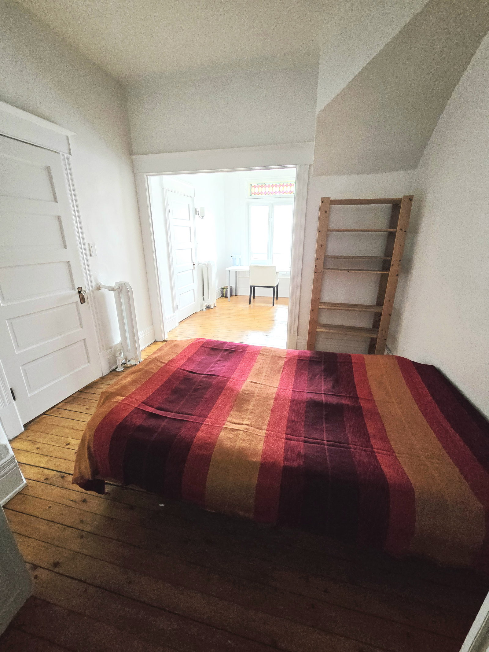 Kolokasie Montréal 430732