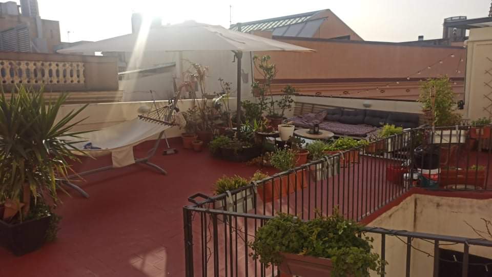 Colocation Barcelona 265006