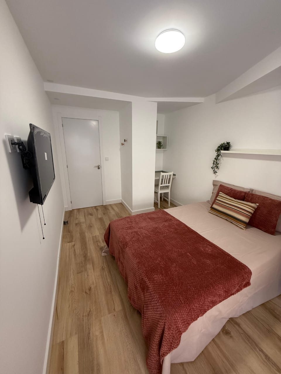 Colocation Alacant 588531