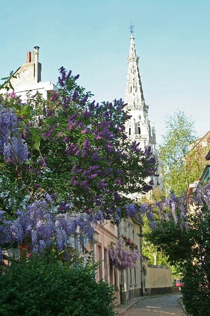 Hemvistelse Anderlecht 179844