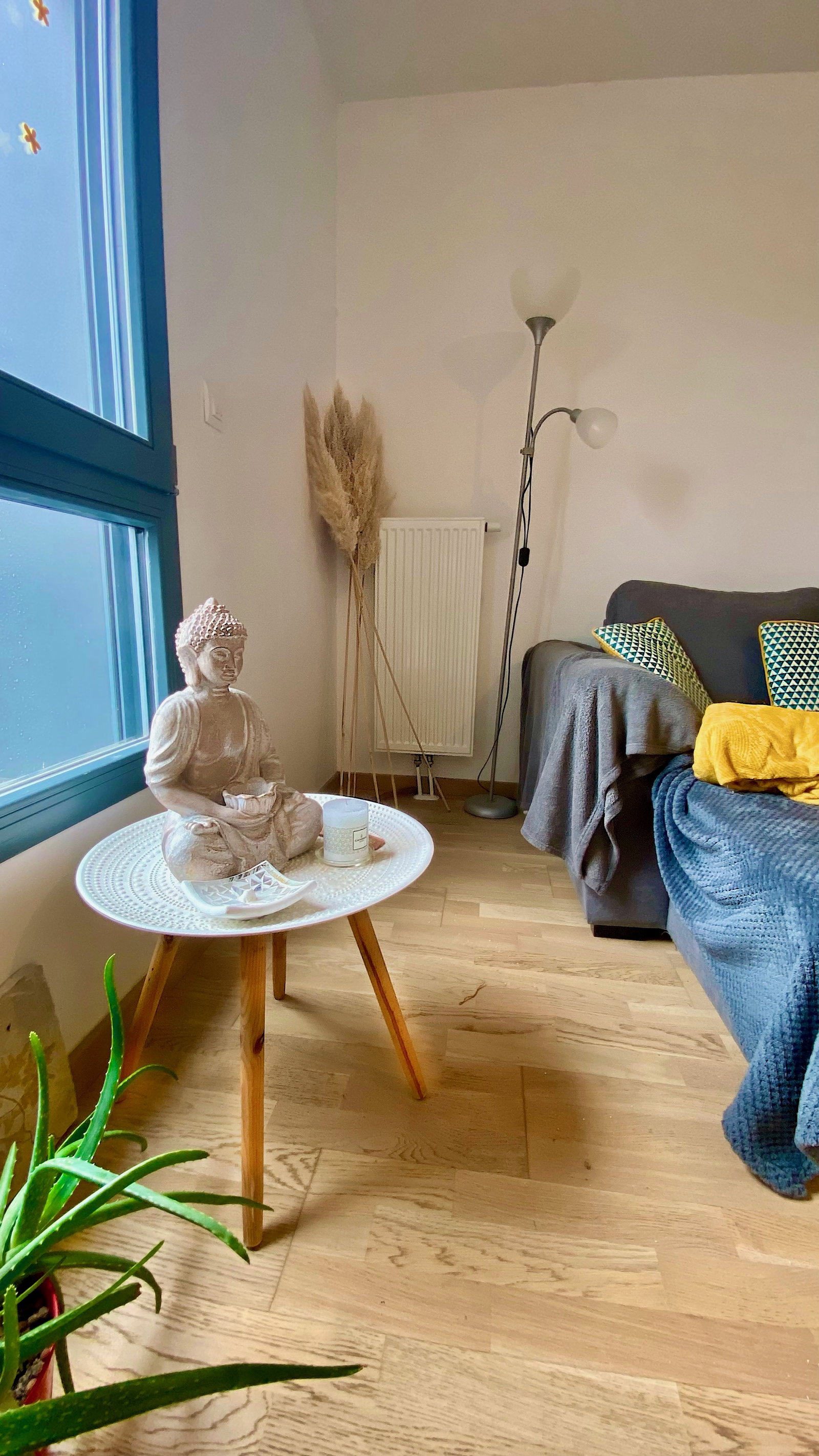 Homestay Lille 250117