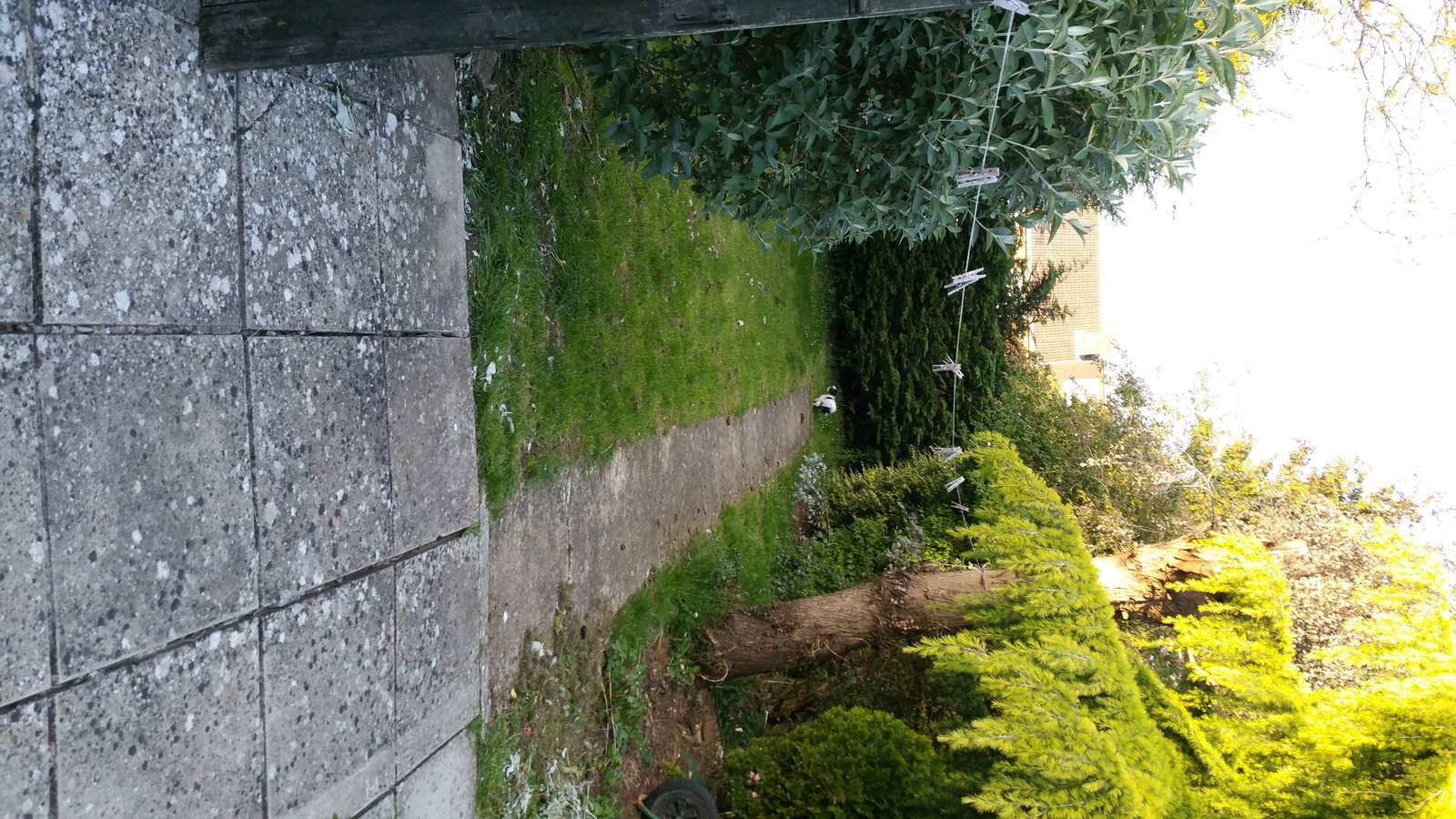 Homestay Kidlington 132399