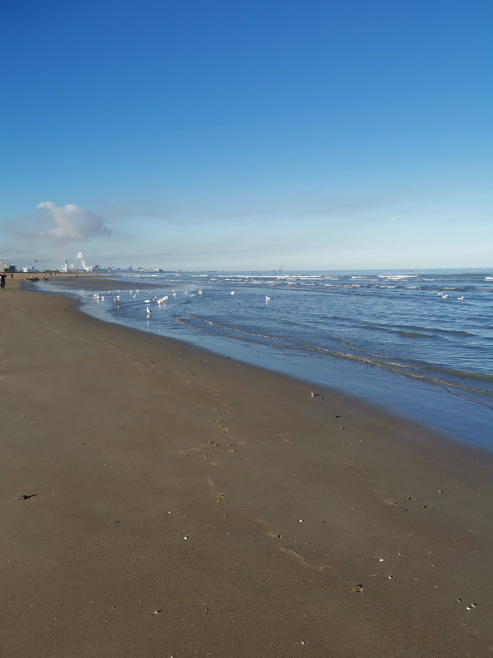 Homestay Calais 657281