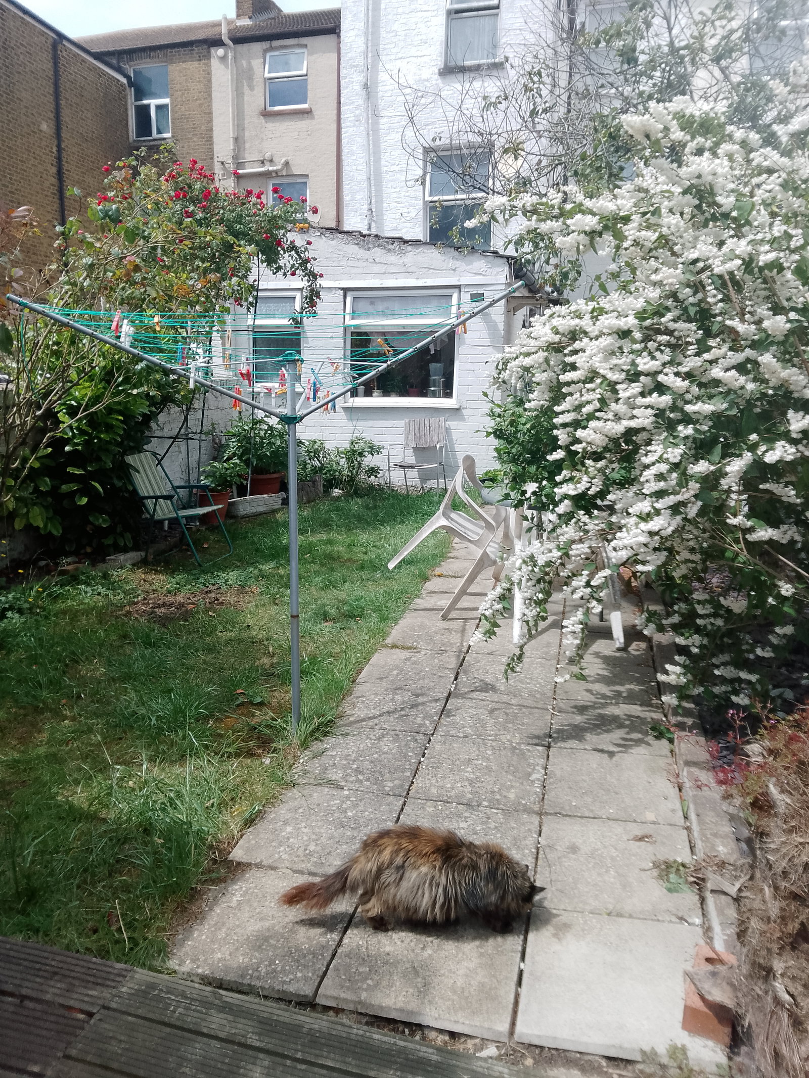 Homestay Sheerness 531940