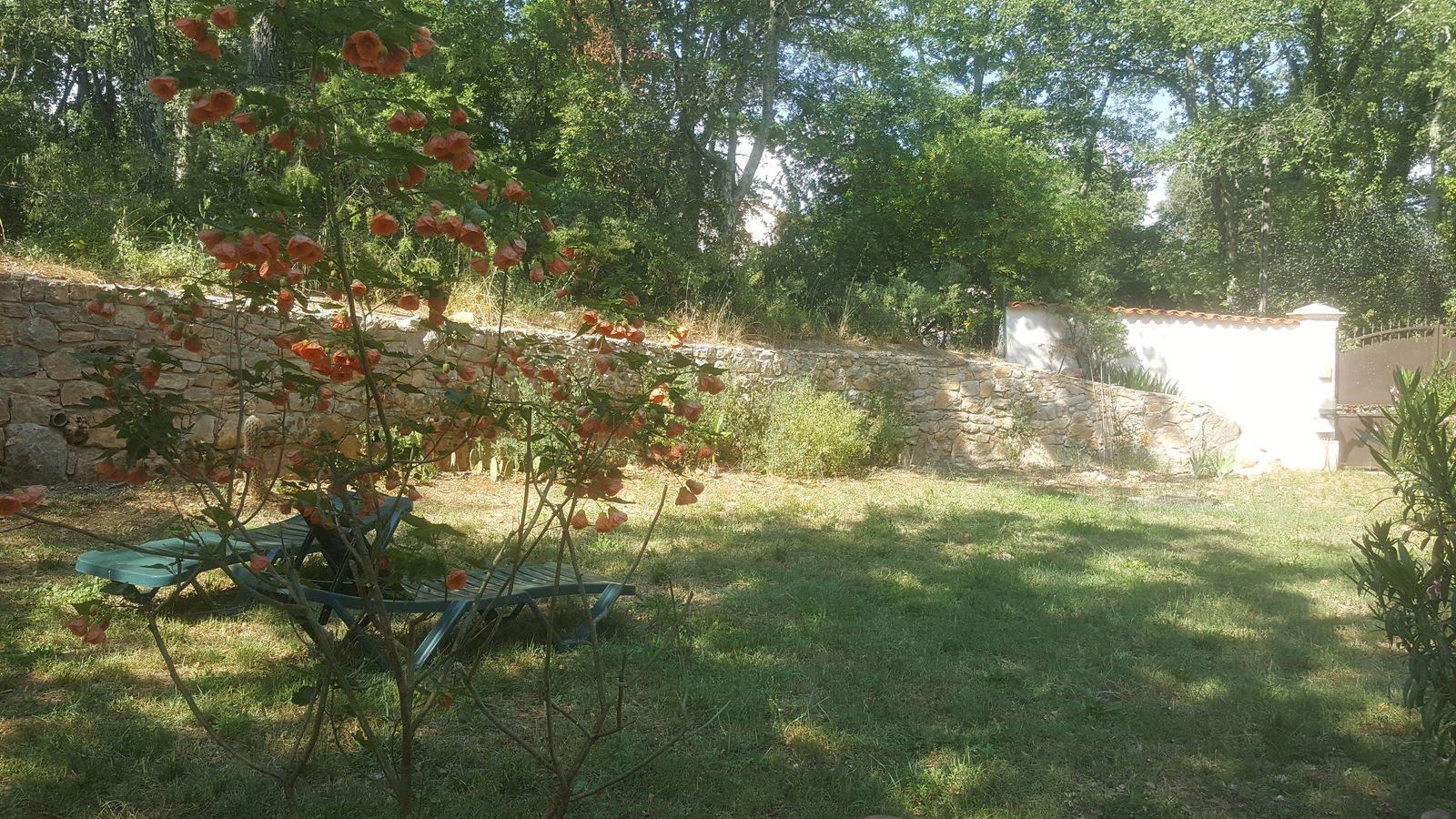 Estudio Independiente Fayence 190668