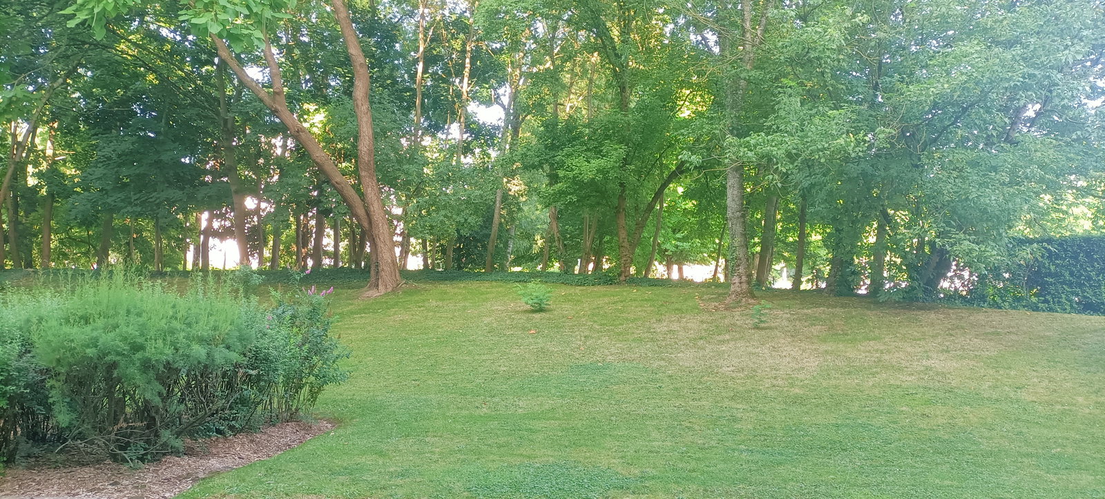 Colocatie Montigny-le-Bretonneux 617574