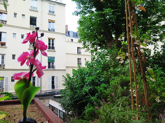 Homestay Paris 130534