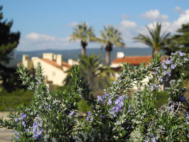 Tutta La Casa Saint-Cyr-sur-Mer 43175