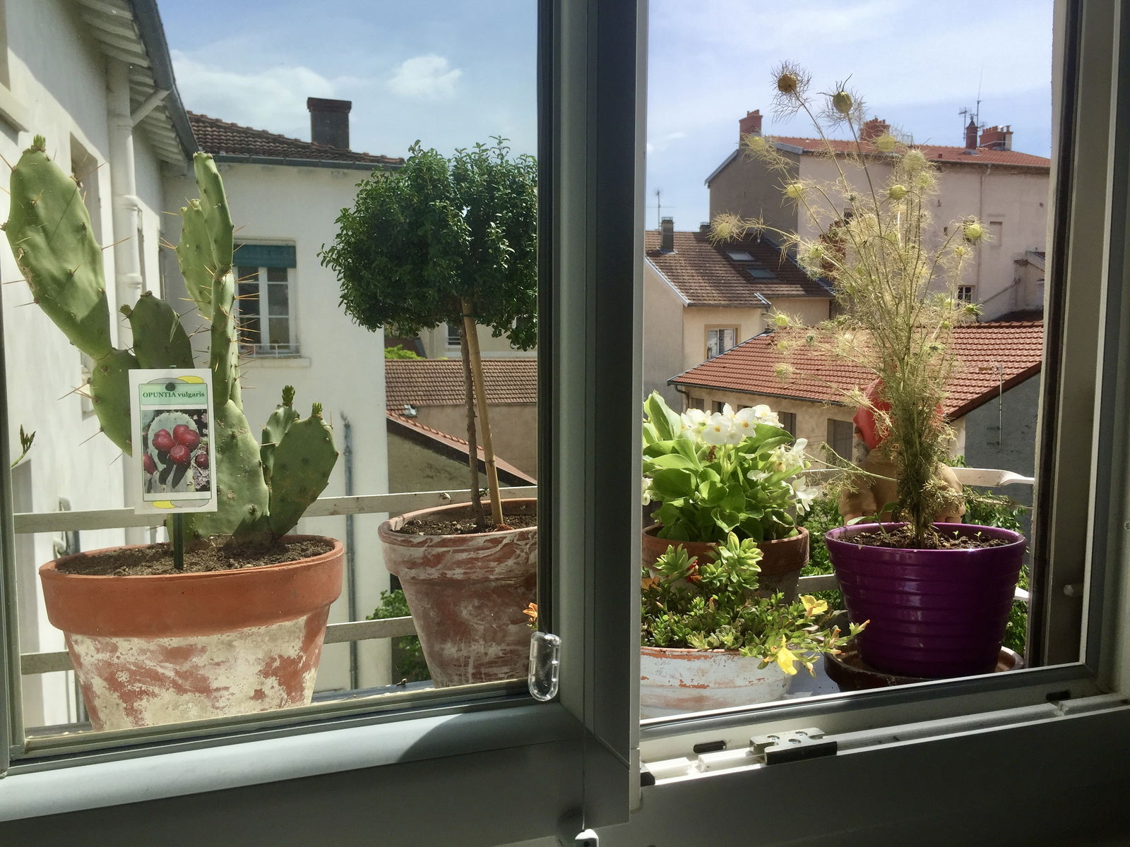 Tutta La Casa Lyon 233313