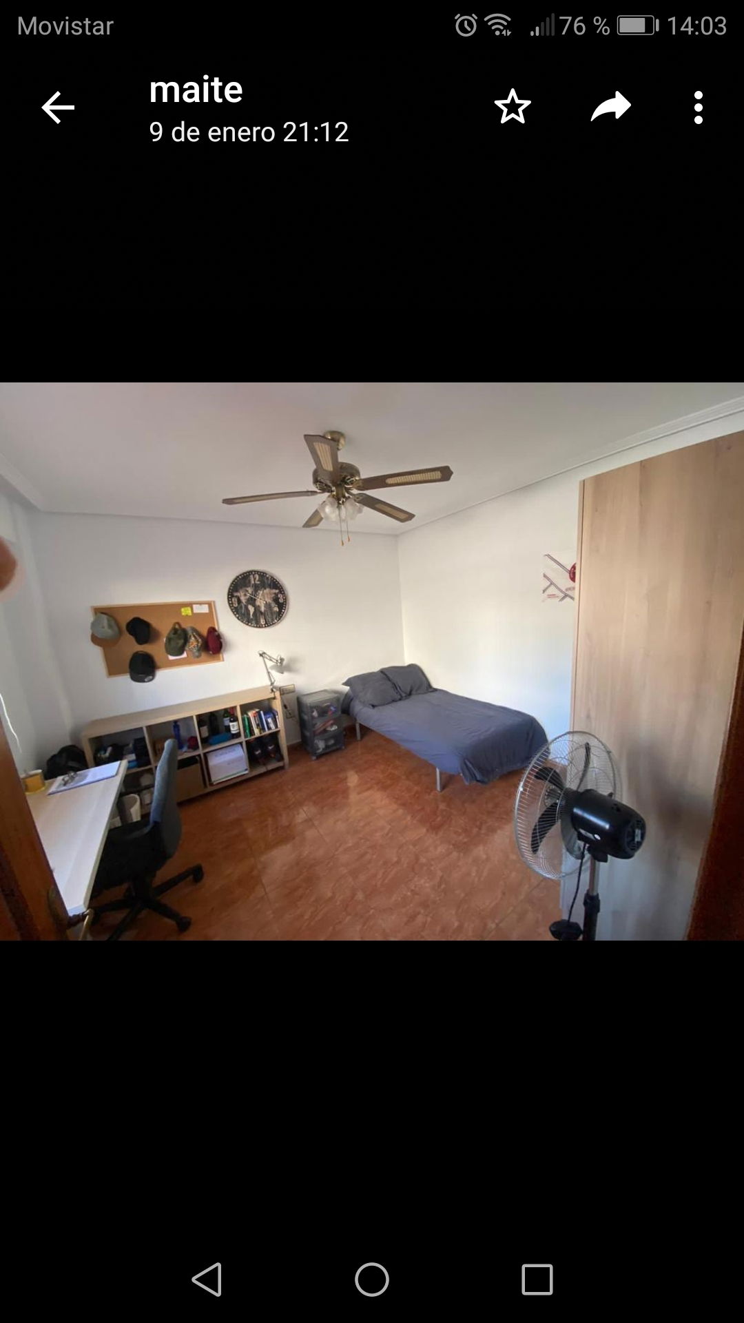 Kolokation Murcia 245100