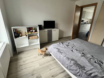 Roomlala | Duża sypialnia z 1 oknem w nowym mieszkaniu