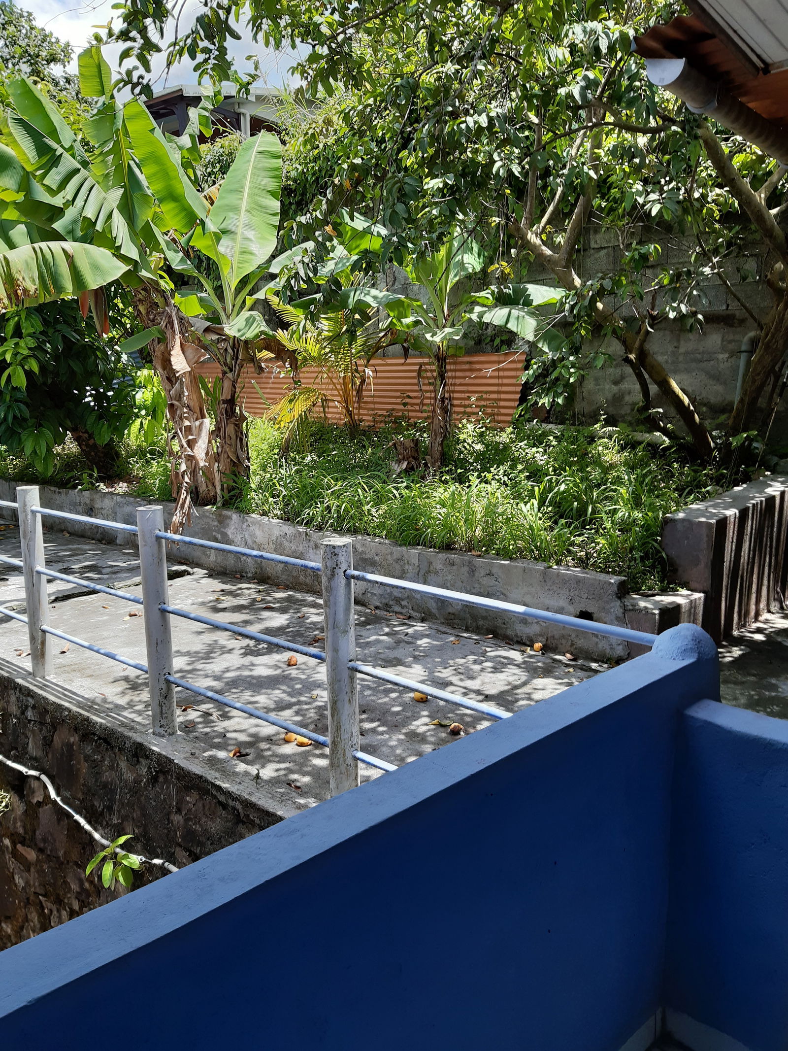 Kolokacja Fort-de-France 3324