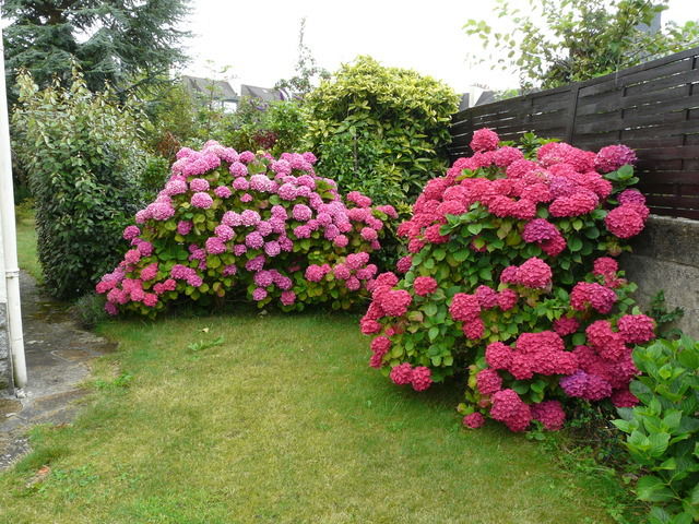 Zakwaterowanie U Rodziny Douarnenez 39120