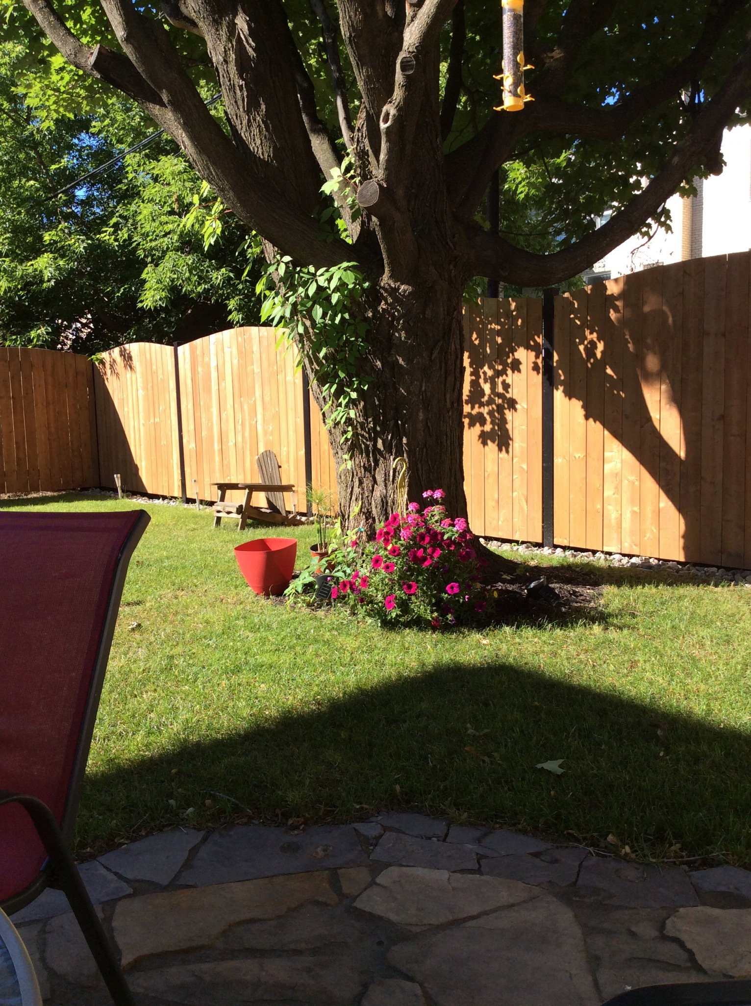 Kolokacja Ville de Québec 163704